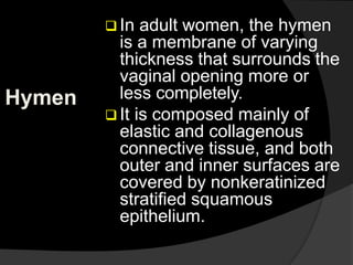 Hymen In Female MATERNAL ANATOMY.pptx