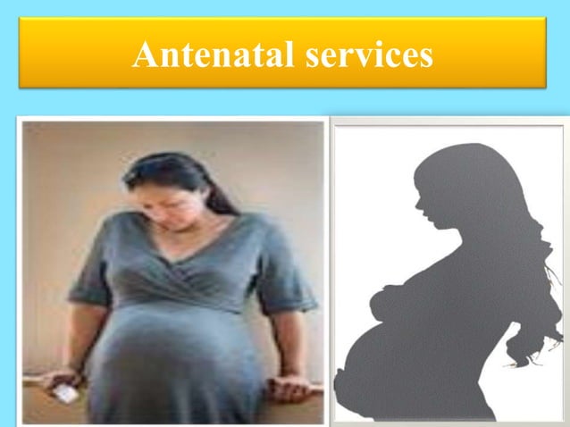 Maternal and child health care services | PPTX | Reproductive Health ...