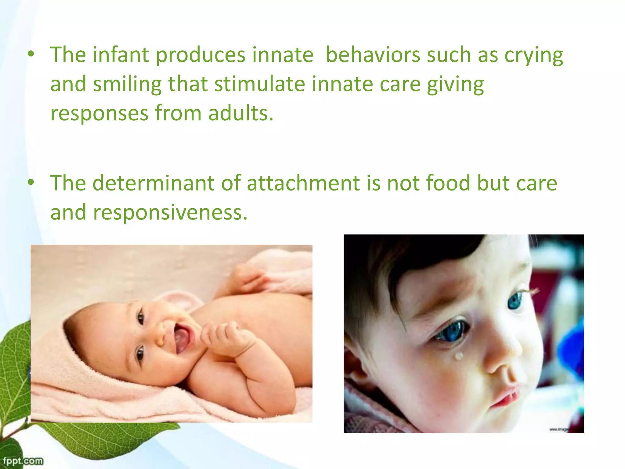 • The infant produces innate behaviors such as crying
and smiling that stimulate innate care giving
responses from adults.
• The determinant of attachment is not food but care
and responsiveness.
 