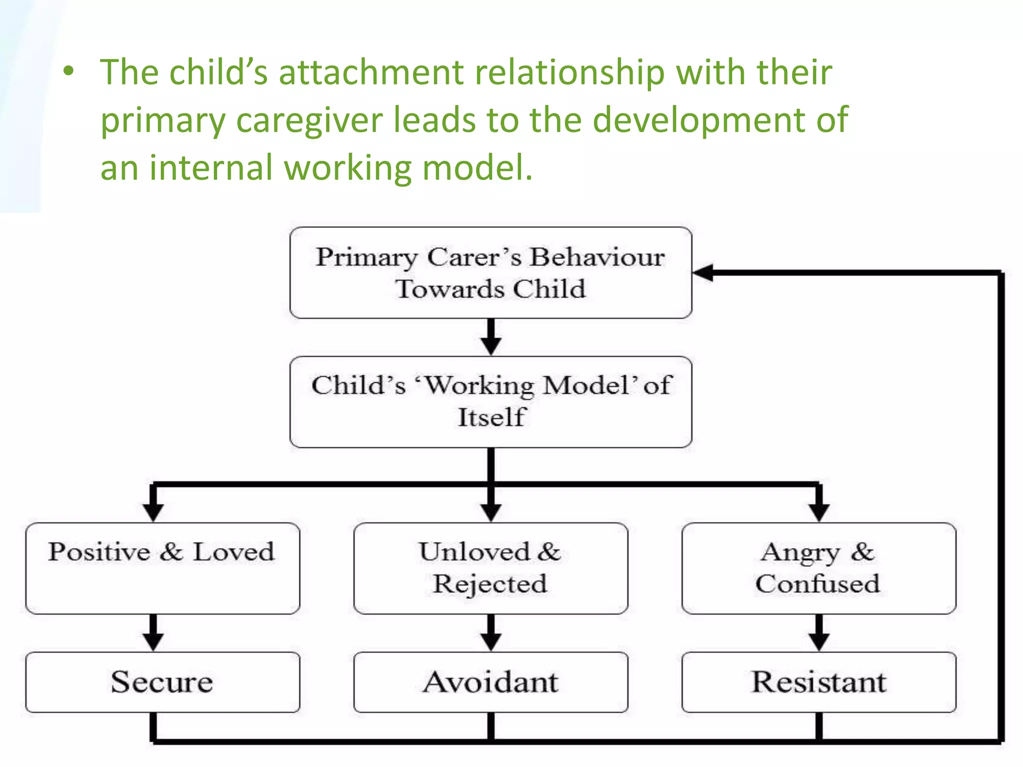 • The child’s attachment relationship with their
primary caregiver leads to the development of
an internal working model.
 