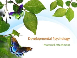 Developmental Psychology
Maternal Attachment
 