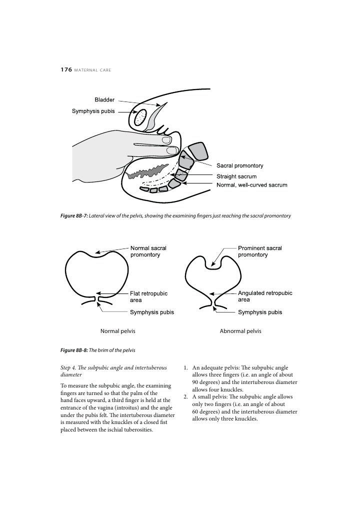 Maternal Care Skills Workshop Vaginal Examination In Labour
