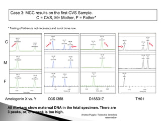Mcc Samples Maternal cell contamination (mcc) testing 2014 ecuador_draft | POT