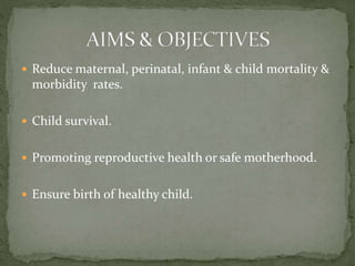 Maternal and child health programme | PPTX