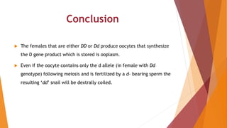 Conclusion
 The females that are either DD or Dd produce oocytes that synthesize
the D gene product which is stored is ooplasm.
 Even if the oocyte contains only the d allele (in female with Dd
genotype) following meiosis and is fertilized by a d- bearing sperm the
resulting ‘dd’ snail will be dextrally coiled.
 