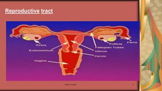 Maternal health 13
Reproductive tract
 