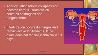 Maternal health 15
• After ovulation follicle collapses and
become corpus luteum which
secretes oestrogens and
progesterone.
• If fertilization occurs,it enlarges and
remain active for 4months. If the
ovum does not fertilize,it shrivels in 10
days.
 