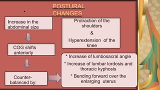 POSTURAL
CHANGES
•
Increase in the
abdominal size
COG shifts
anteriorly
Counter-
balanced by:
* Increase of lumbosacral angle
* Increase of lumbar lordosis and
thoracic kyphosis
* Bending forward over the
enlarging uterus
Protraction of the
shoulders
&
Hyperextension of the
knee
 