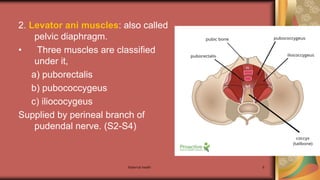 Maternal health 8
2. Levator ani muscles: also called
pelvic diaphragm.
• Three muscles are classified
under it,
a) puborectalis
b) pubococcygeus
c) iliococygeus
Supplied by perineal branch of
pudendal nerve. (S2-S4)
 