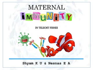 MATERNAL
IN TELEOST FISHES
Shyam K U & Nesnas E A
 