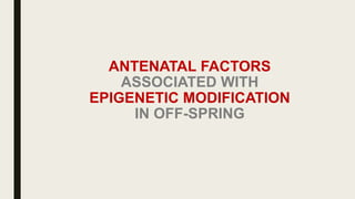 Maternal Nutrition and Epigenetics | PDF