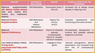 Maternal Nutrition and Epigenetics | PDF