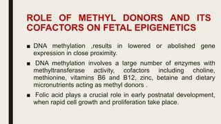 Maternal Nutrition and Epigenetics | PDF