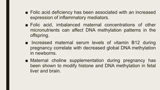 Maternal Nutrition and Epigenetics | PDF