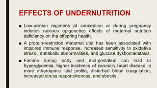 Maternal Nutrition and Epigenetics | PDF