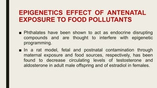 Maternal Nutrition and Epigenetics | PDF