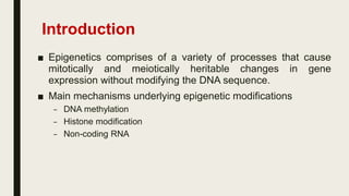 Maternal Nutrition and Epigenetics | PDF