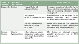 Maternal Nutrition and Epigenetics | PDF