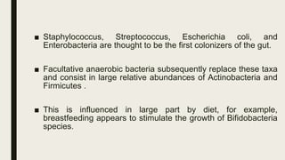 Maternal Nutrition and Epigenetics | PDF