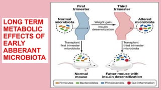 Maternal Nutrition and Epigenetics | PDF