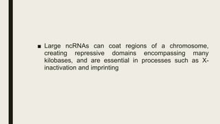 Maternal Nutrition and Epigenetics | PDF