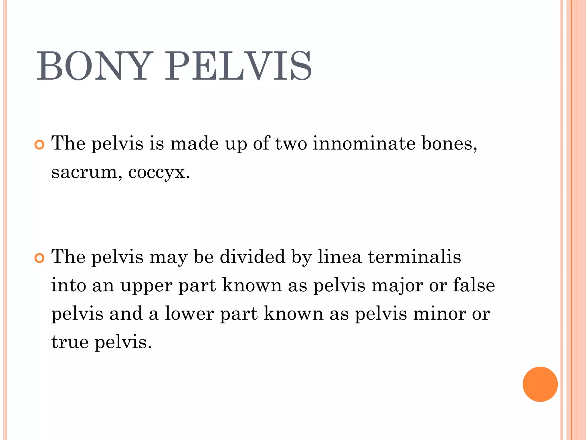 maternalpelvis-160311112407.pdf