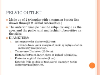 maternalpelvis-160311112407.pdf