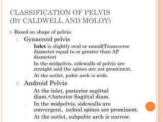 CLASSIFICATION OF PELVIS
(BY CALDWELL AND MOLOY)
 Based on shape of pelvis:
1. Gynaecoid pelvis
 Inlet is slightly oval or round(Transverse
diameter equal to or greater than AP
diameter)
 In the midpelvis, sidewalls of pelvis are
straight and the spines are not prominent.
 At the outlet, pubic arch is wide.
2. Android Pelvis
• At the inlet, posterior sagittal
diam.<Anterior Sagittal diam.
• In the midpelvis, sidewalls are
convergent, ischial spines are prominent.
• At the outlet, subpubic arch is narrow.
 