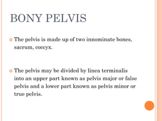 BONY PELVIS
 The pelvis is made up of two innominate bones,
sacrum, coccyx.
 The pelvis may be divided by linea terminalis
into an upper part known as pelvis major or false
pelvis and a lower part known as pelvis minor or
true pelvis.
 