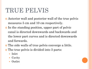 TRUE PELVIS
 Anterior wall and posterior wall of the true pelvis
measures 5 cm and 10 cm respectively.
 In the standing position, upper part of pelvic
canal is directed downwards and backwards and
the lower part curves and is directed downwards
and forwards.
 The side walls of true pelvis converge a little.
 The true pelvis is divided into 3 parts:
 Inlet
 Cavity
 Outlet
 