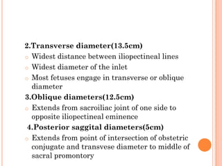 2.Transverse diameter(13.5cm)
o Widest distance between iliopectineal lines
o Widest diameter of the inlet
o Most fetuses engage in transverse or oblique
diameter
3.Oblique diameters(12.5cm)
o Extends from sacroiliac joint of one side to
opposite iliopectineal eminence
4.Posterior saggital diameters(5cm)
o Extends from point of intersection of obstetric
conjugate and transvese diameter to middle of
sacral promontory
 