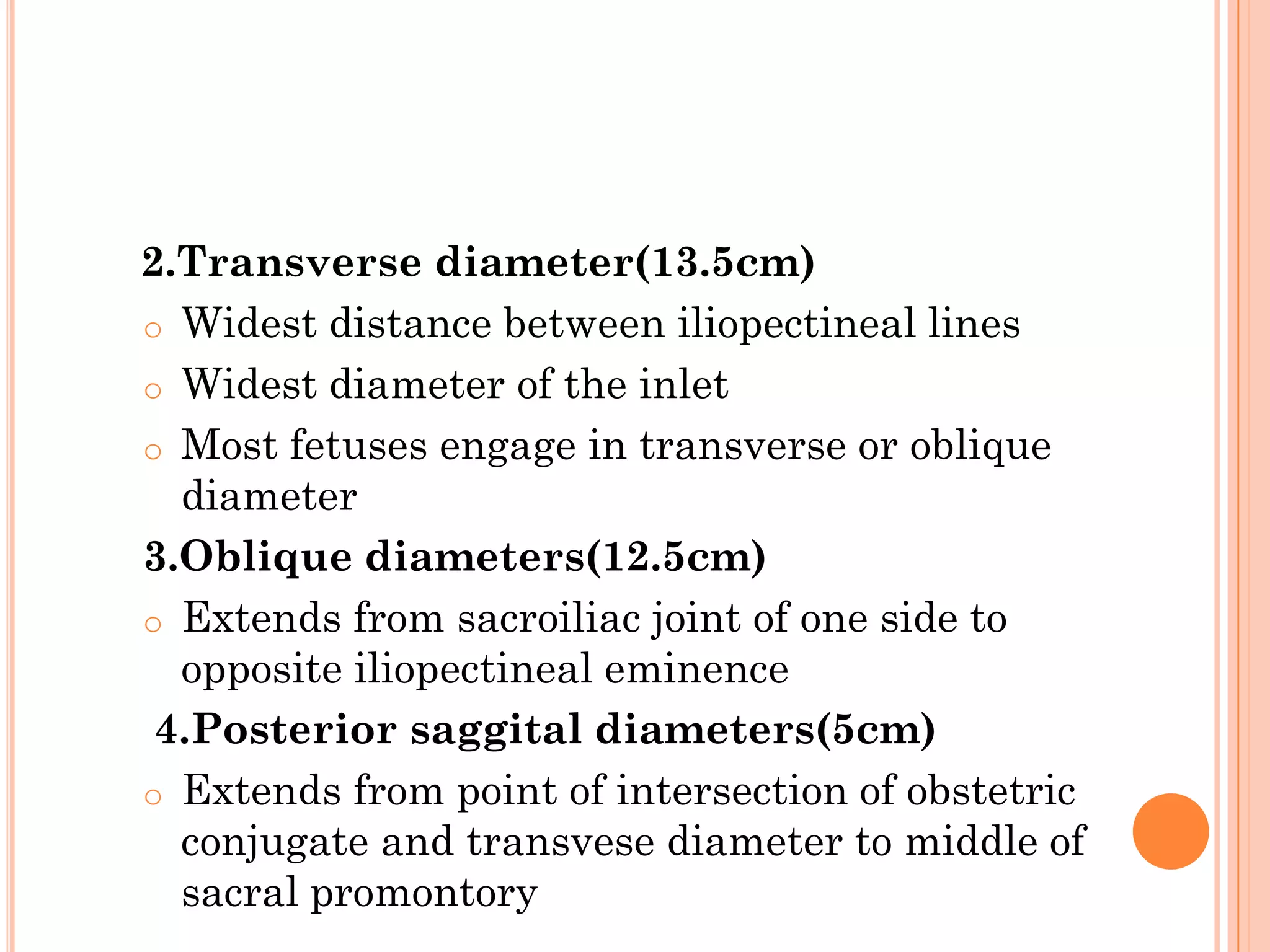 maternal-pelvis-pdf