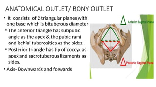 Maternal pelvis & Fetal skull obsterics.pptx