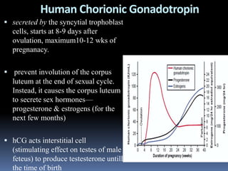Maternal physiology in pregnancy | PPT