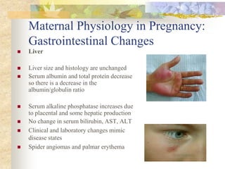 Maternal Physiology in Pregnancy: Gastrointestinal ChangesLiver Liver size and histology are unchanged Serum albumin and total protein decrease so there is a decrease in the albumin/globulin ratioSerum alkaline phosphatase increases due to placental and some hepatic productionNo change in serum bilirubin, AST, ALTClinical and laboratory changes mimic disease states Spider angiomas and palmar erythema 