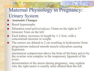 Maternal Physiology in Pregnancy: Urinary SystemAnatomic ChangesRenal hypertrophy Dilatation renal pelvis/calyces 15mm on the right in 3rd trimester 5mm on the left.Each kidney increases in length by 1-1.5cm, with a concomitant increase in weight.The ureters are dilated to 2 cm resulting in hydroureter from:      progesterone-induced smooth muscle relaxation causing hypotonia       mechanical compression above the brim of the bony pelvis by the ovarian vein complex in the suspensory ligament of the ovary      dextorotation of the uterus during pregnancy, may explain why the right ureter is usually more dilated than the left. 