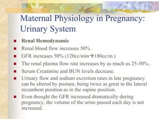 Maternal Physiology in Pregnancy: Urinary SystemRenal HemodynamicRenal blood flow increases 50% .GFR increases 50% (120cc/min180cc/m.)The renal plasma flow rate increases by as much as 25-50%..Serum Creatinine and BUN levels decrease. Urinary flow and sodium excretion rates in late pregnancy can be altered by posture, being twice as great in the lateral recumbent position as in the supine position.Even thought the GFR increased dramatically during pregnancy, the volume of the urine passed each day is not increased.