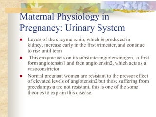 Maternal Physiology in Pregnancy: Urinary SystemLevels of the enzyme renin, which is produced in kidney, increase early in the first trimester, and continue to rise until term This enzyme acts on its substrate angiotensinogen, to first form angiotensin1 and then angiotensin2, which acts as a vasoconstrictorNormal pregnant women are resistant to the pressor effect of elevated levels of angiotensin2 but those suffering from preeclampsia are not resistant, this is one of the some theories to explain this disease. 