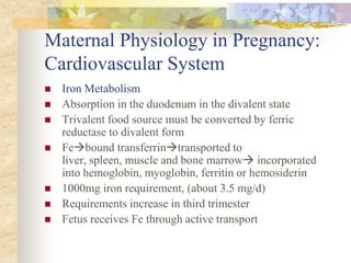 Maternal Physiology in Pregnancy: Cardiovascular SystemIron MetabolismAbsorption in the duodenum in the divalent state Trivalent food source must be converted by ferric reductase to divalent form Febound transferrintransported to liver, spleen, muscle and bone marrow incorporated into hemoglobin, myoglobin, ferritin or hemosiderin 1000mg iron requirement, (about 3.5 mg/d)  Requirements increase in third trimester Fetus receives Fe through active transport 