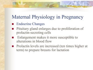 Maternal Physiology in PregnancyEndocrine ChangesPituitary gland enlarges due to proliferation of prolactin-secreting cells Enlargement makes it more susceptible to alterations in blood flowProlactin levels are increased (ten times higher at term) to prepare breasts for lactation