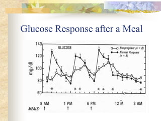 Glucose Response after a Meal