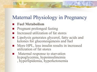 Maternal Physiology in PregnancyFuel MetabolismPregnant prolonged fasting Increased utilization of fat storesLipolysis generates glycerol, fatty acids and ketones for gluconeogenesis and fuel More HPL, less insulin results in increased utilization of fat stores Maternal response to starvation hypoglycemia, hypoinsulinemia , hyperlipidemia, hyperketonemia