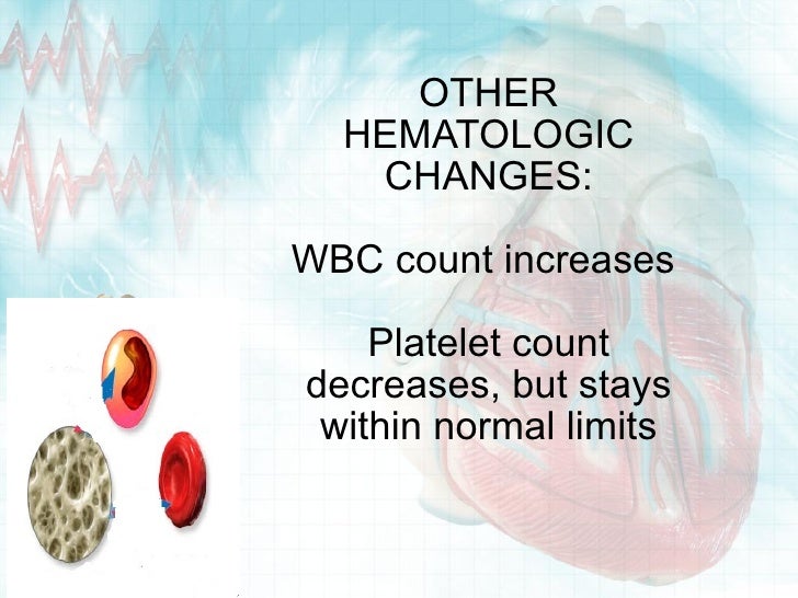 Maternal Physiology Lecture