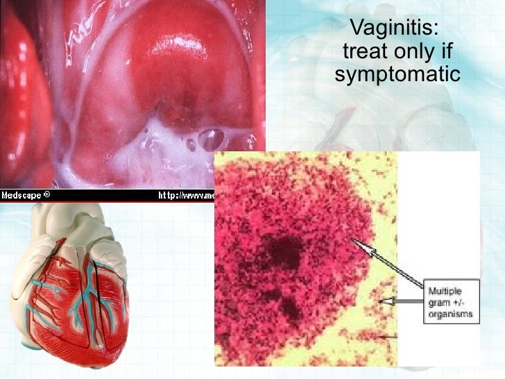 maternal physiology 1 reproduction - fetal development, placenta and maternal physiology rudolf cardinal, 22/24 nov 1998 implantation and the decidual response • implantation in humans and some other species is invasive - the uterine surface epithelium is breached and the underlying. maternal physiology 1 reproduction - fetal development, placenta and maternal physiology rudolf cardinal, 22/24 nov 1998 implantation and the decidual response • implantation in humans and some other species is invasive - the uterine surface epithelium is breached and the underlying.