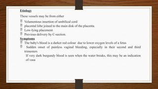Etiology
These vessels may be from either
 Velamentous insertion of umbilical cord
 placental lobe joined to the main disk of the placenta.
 Low-lying placement
 Previous delivery by C-section.
Symptoms
 The baby's blood is a darker red colour due to lower oxygen levels of a fetus
 Sudden onset of painless vaginal bleeding, especially in their second and third
trimesters
If very dark burgundy blood is seen when the water breaks, this may be an indication
of vasa
 