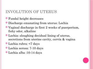 Sluffing Utrius MATERNAL PSYCHOLOGICAL ADAPTATION IN PUERPERIUM.pptx