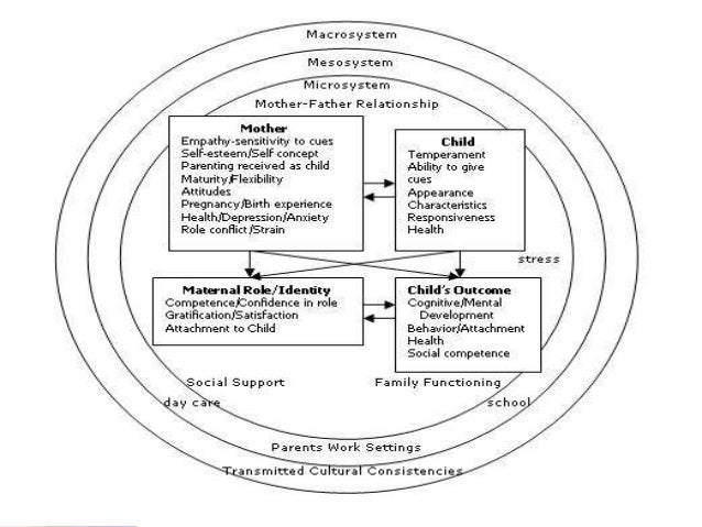 Maternal role attainment theory