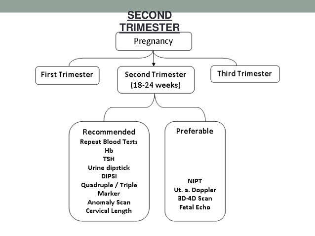blood sugar gct test Maternal screening pregnancy in final blood sugar gct test Maternal screening pregnancy in final