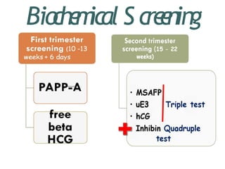 maternal screening in pregnancy | PPTX