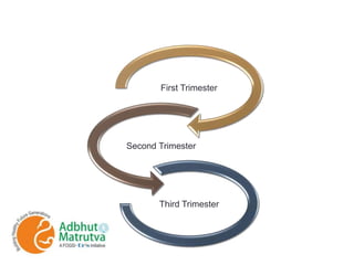 First Trimester
Second Trimester
Third Trimester
 